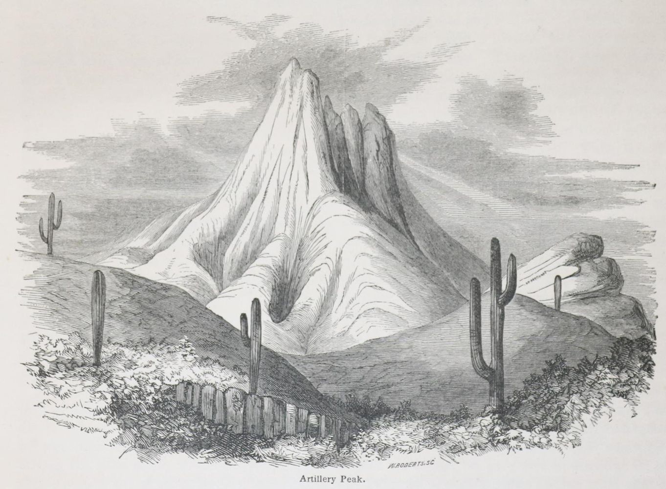 Große Abbildung Nr.1: 139-1862 USA.: (Amerika)