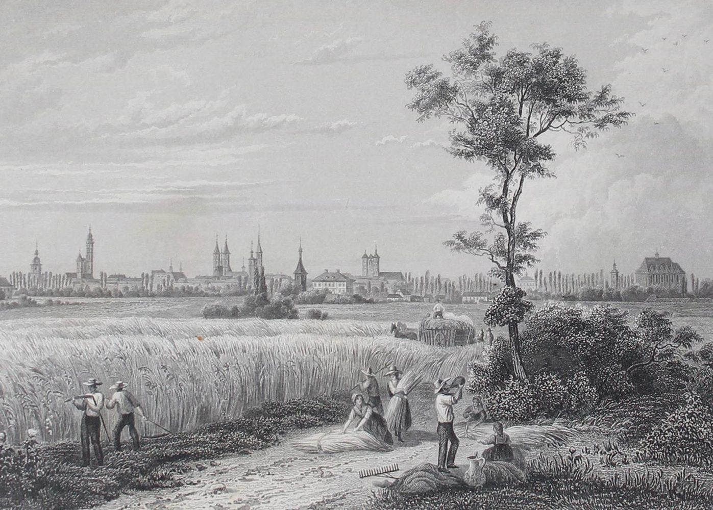 Große Abbildung Nr.1: 139-1944 Heinemann,O.v.: (Deutschland, Braunschweig)