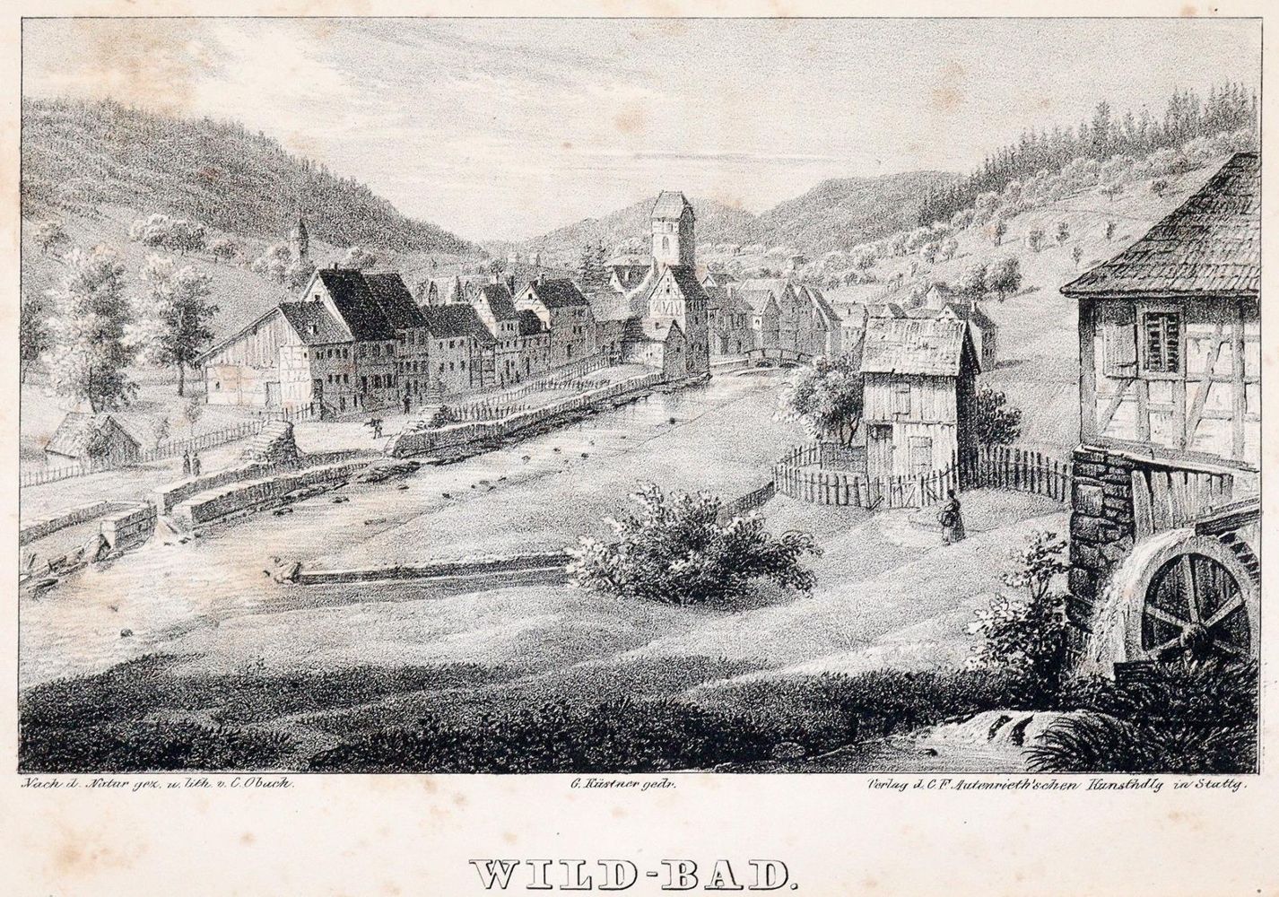 Große Abbildung Nr.1: 139-2042 Fricker,J.: (Deutschland, Wildbad)