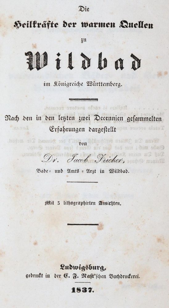 Große Abbildung Nr.3: 139-2042 Fricker,J.: (Deutschland, Wildbad)