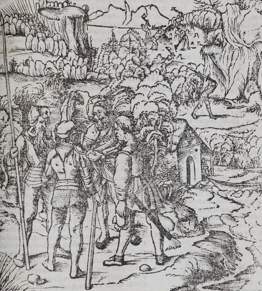 Große Abbildung Nr.2: 139-205 Münster,S.: (Alte Drucke, Handschriften und Theologie)