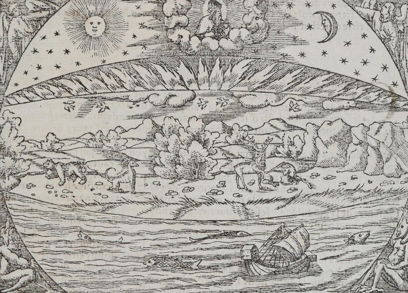 Große Abbildung Nr.3: 139-205 Münster,S.: (Alte Drucke, Handschriften und Theologie)