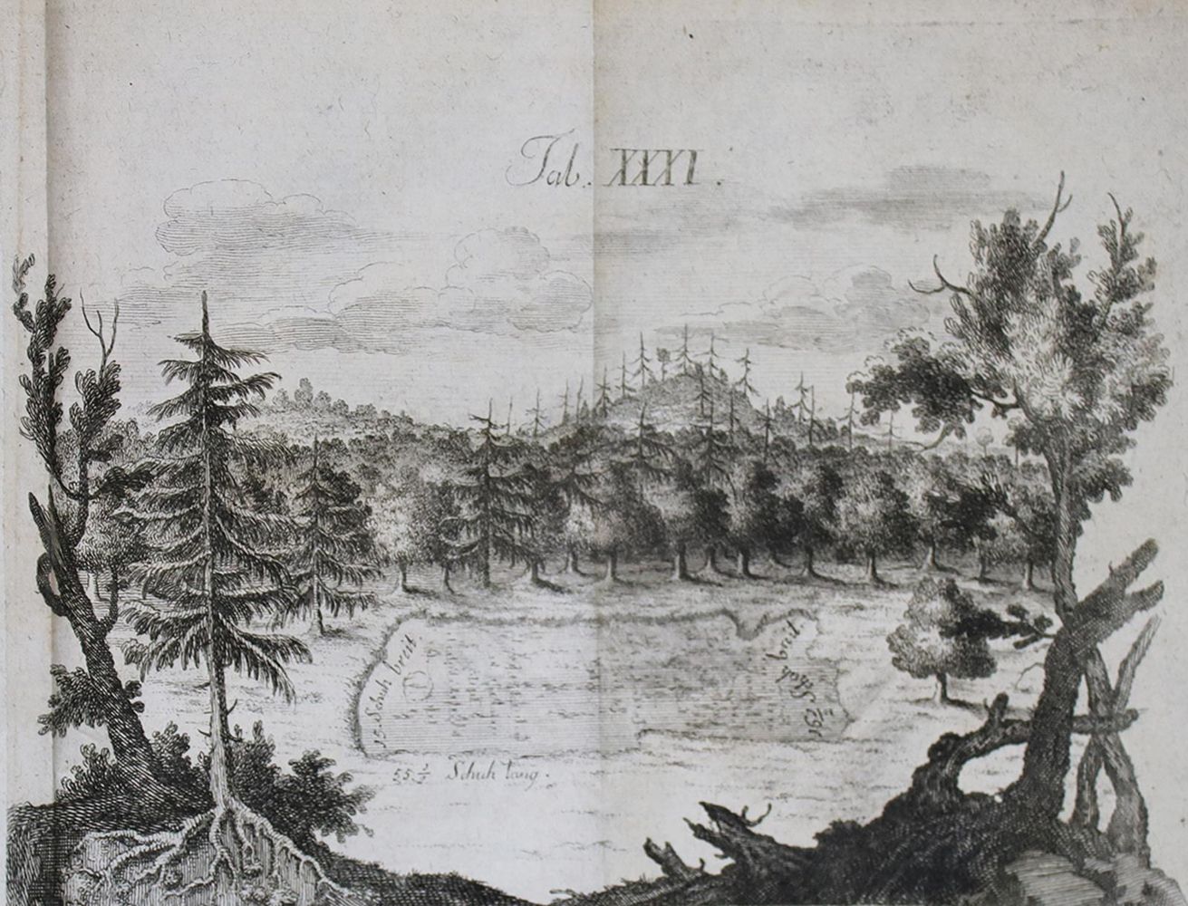 Große Abbildung Nr.2: 139-2051 Sattler,C.F.: (Deutschland, Württemberg)