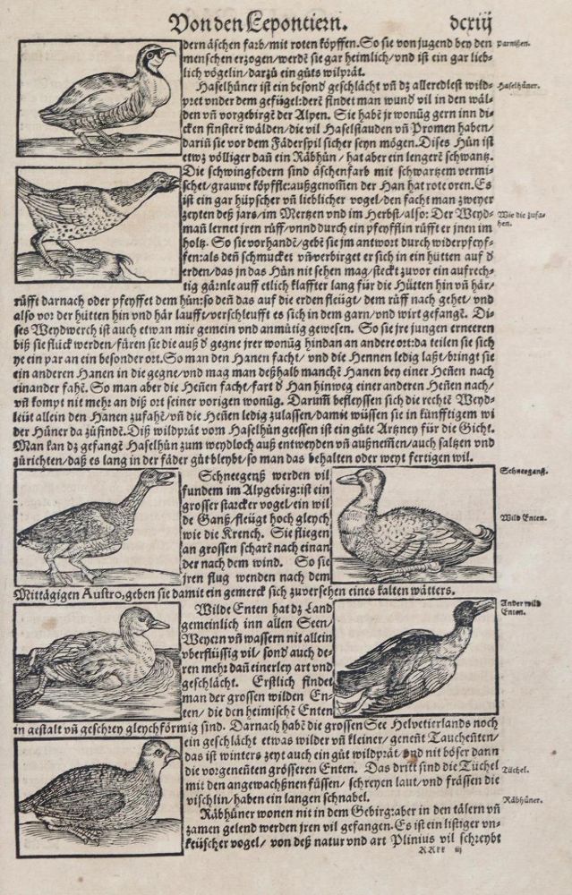 Große Abbildung Nr.14: 139-251 Stumpf,J.: (Schweiz)