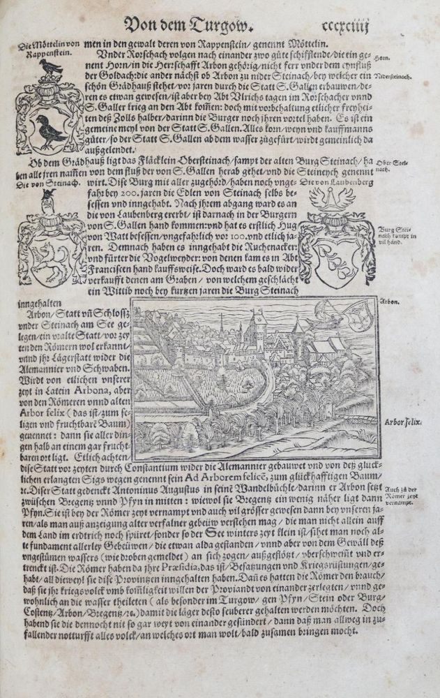 Große Abbildung Nr.7: 139-251 Stumpf,J.: (Schweiz)