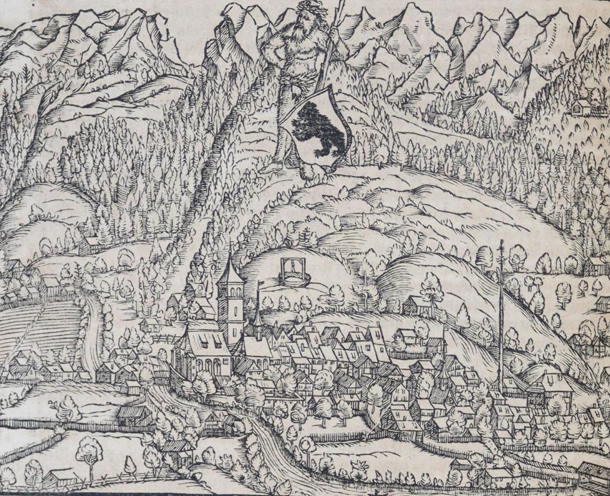 Große Abbildung Nr.8: 139-251 Stumpf,J.: (Schweiz)