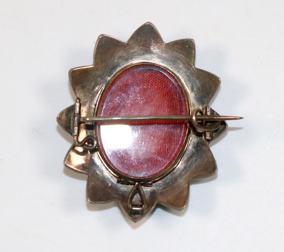 Große Abbildung Nr.2: 139-2656 Granat Broschanhänger,: (Schmuck, Anhänger)