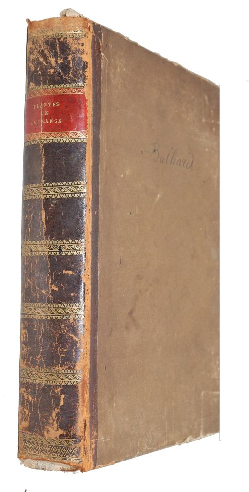 Große Abbildung Nr.2: 139-2814 Bulliard,P.: (Varia, Botanik)