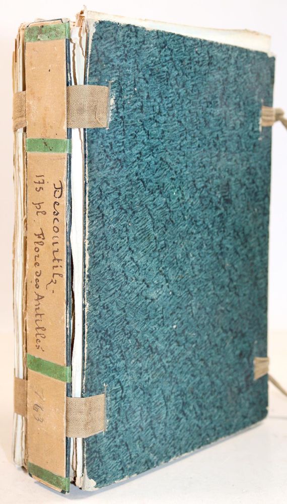 Große Abbildung Nr.3: 139-2815 Descourtilz,M.E.: (Varia, Botanik)
