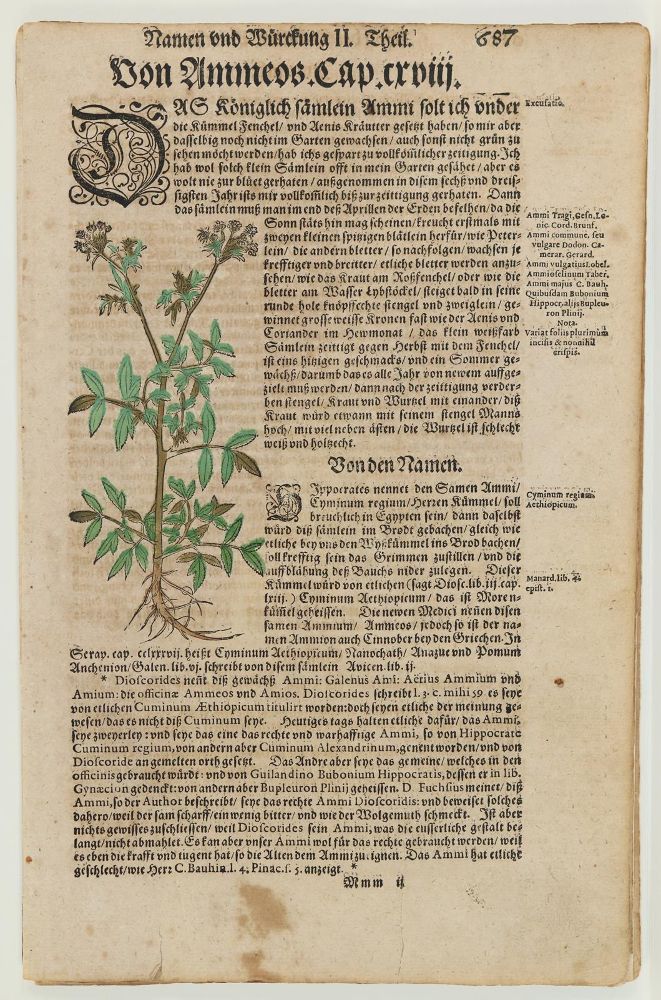 Große Abbildung Nr.1: 139-2817 Kräuterbuch.: (Varia, Botanik)