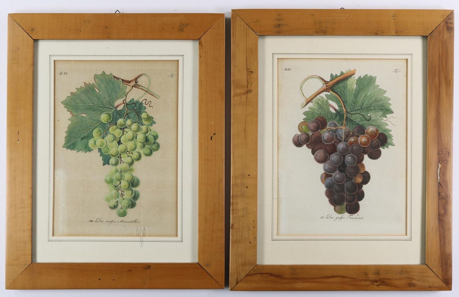 Große Abbildung Nr.4: 139-2820 Rosen.: (Varia, Botanik, Redouté)