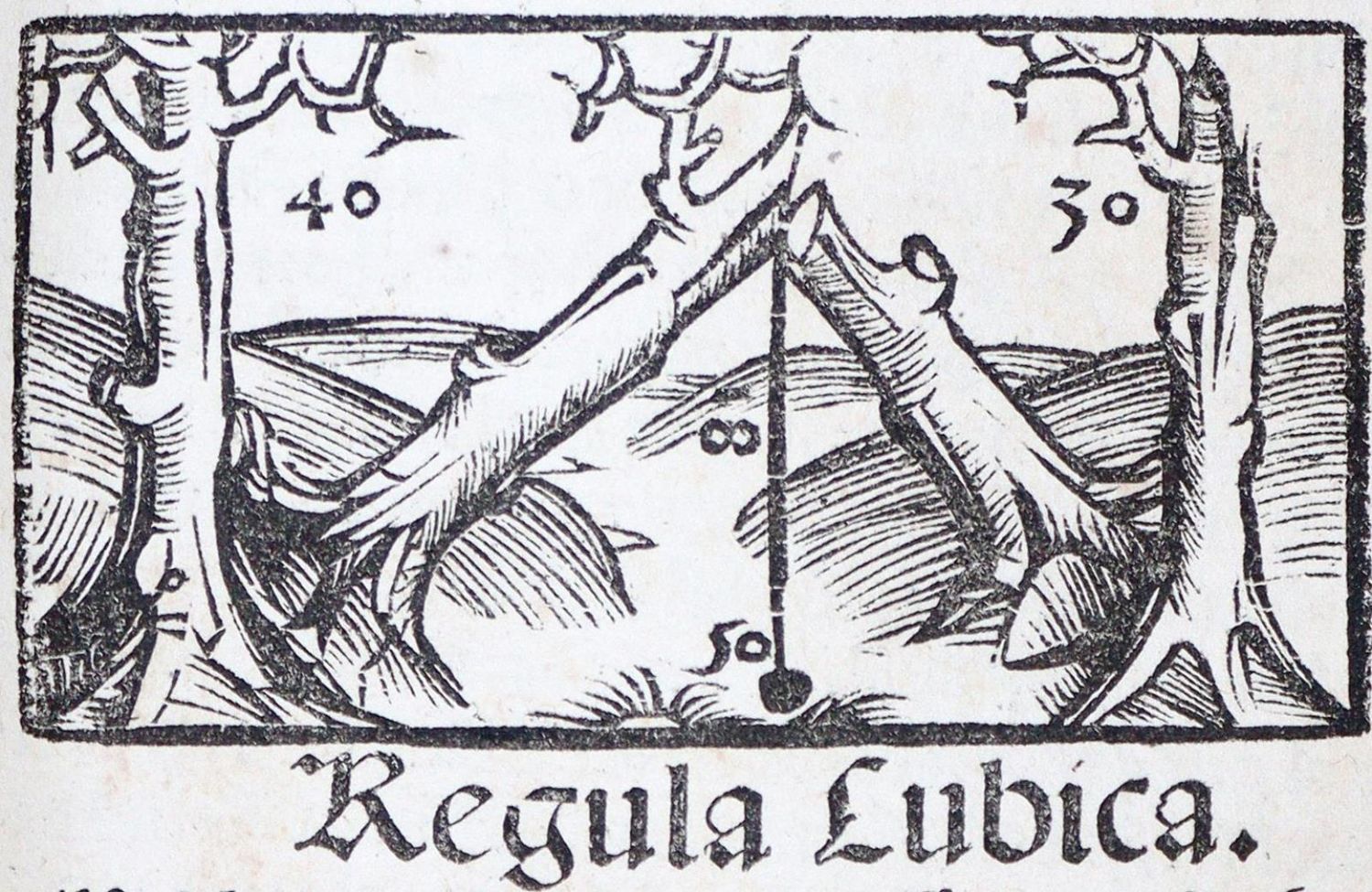 Große Abbildung Nr.8: 139-285 [Widmann, Johann].: (Alte Drucke, Handschriften und Theologie)