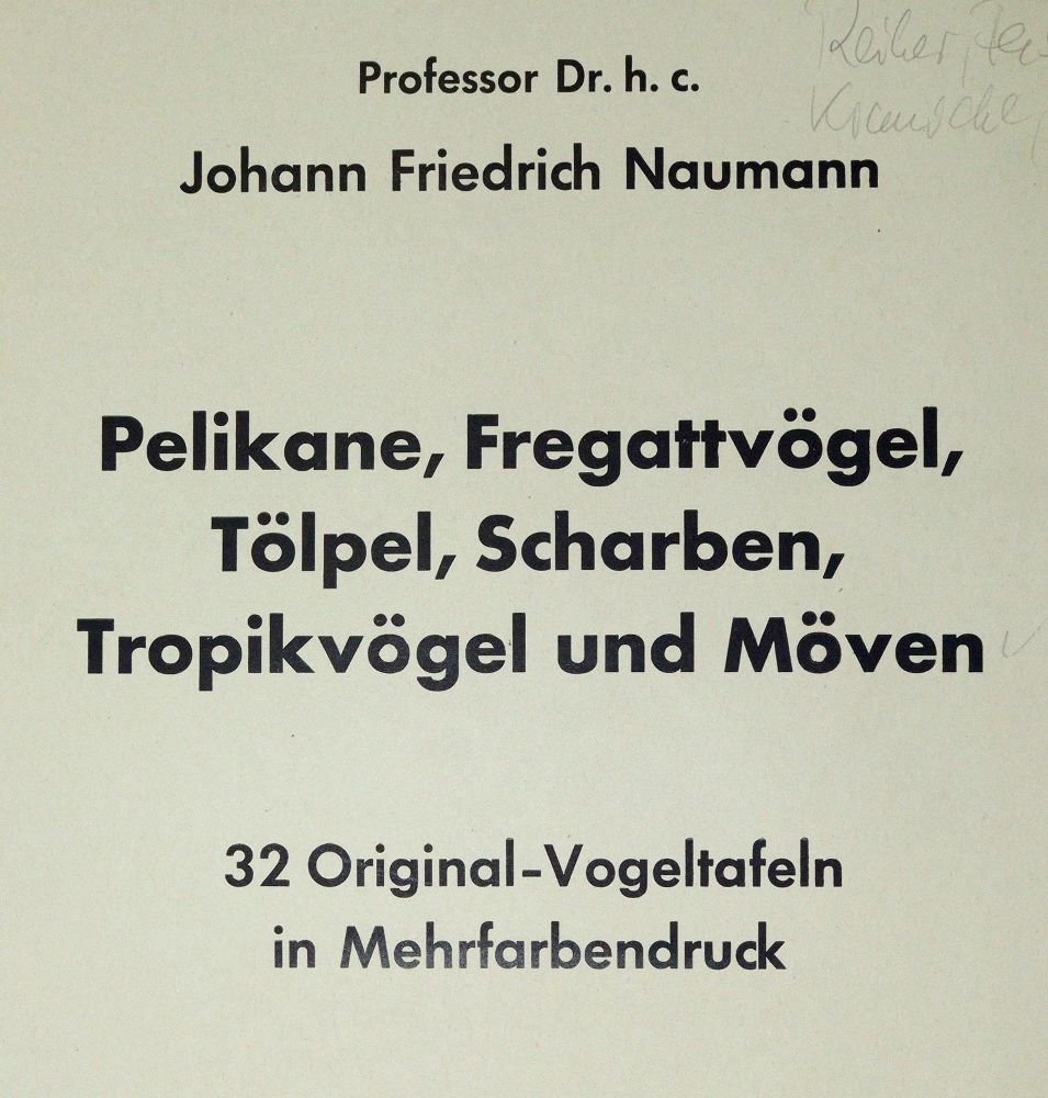 Große Abbildung Nr.3: 139-2901 Naumann,J.F.: (Varia, Zoologie)