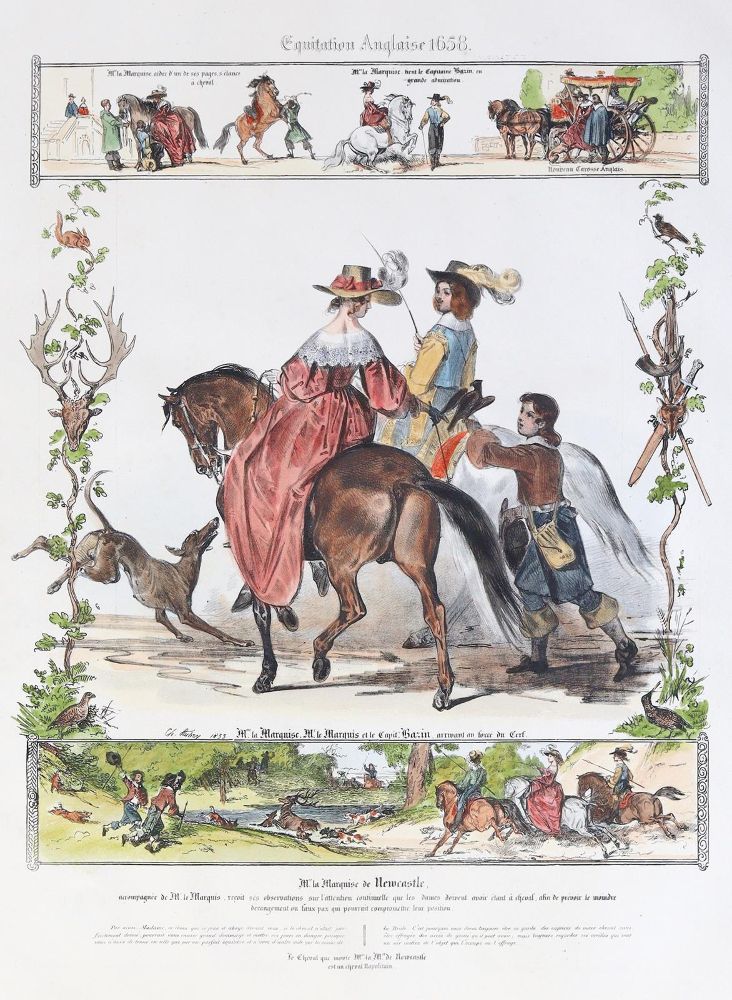 Große Abbildung Nr.2: 139-2902 Pferde.: (Varia, Zoologie)