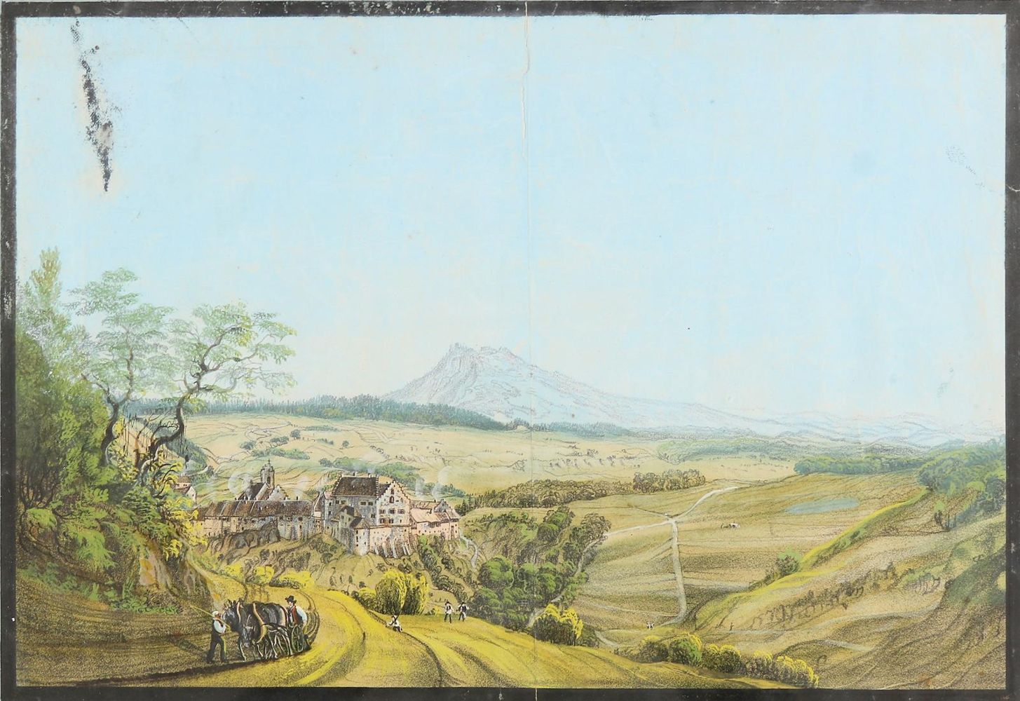 Große Abbildung Nr.1: 139-2920 Blumenfeld.: (Deutschland)
