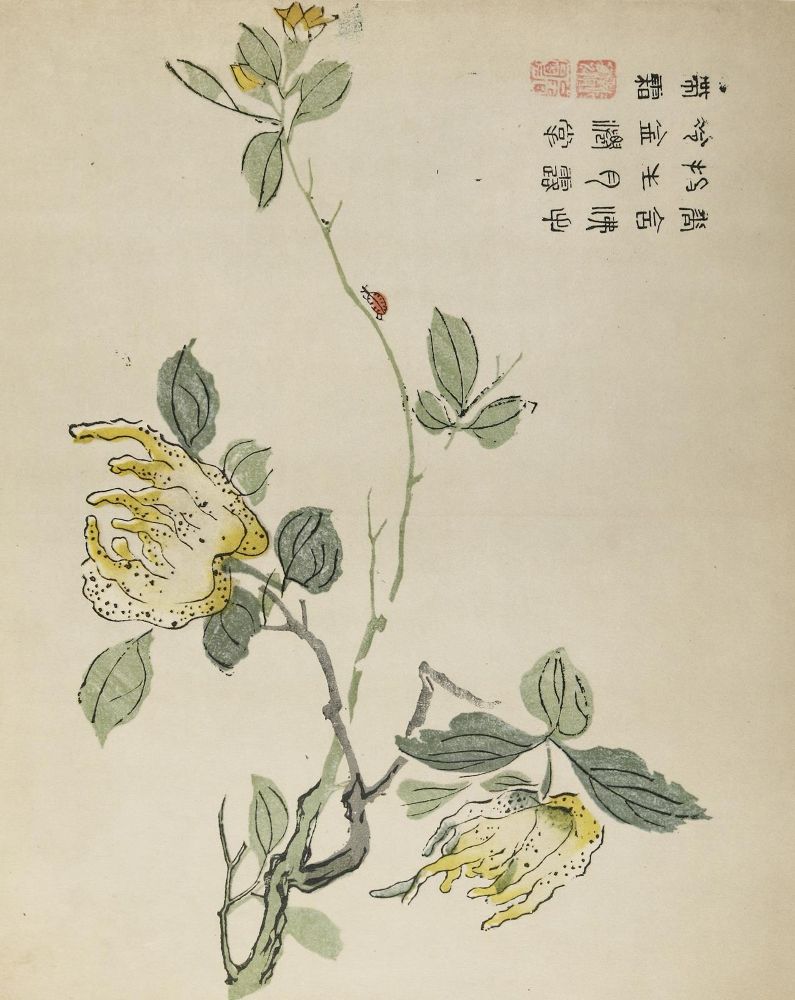 Große Abbildung Nr.2: 139-3011 Sèqíng shíkèhuà dìxíngtú.: (Ausland, China)