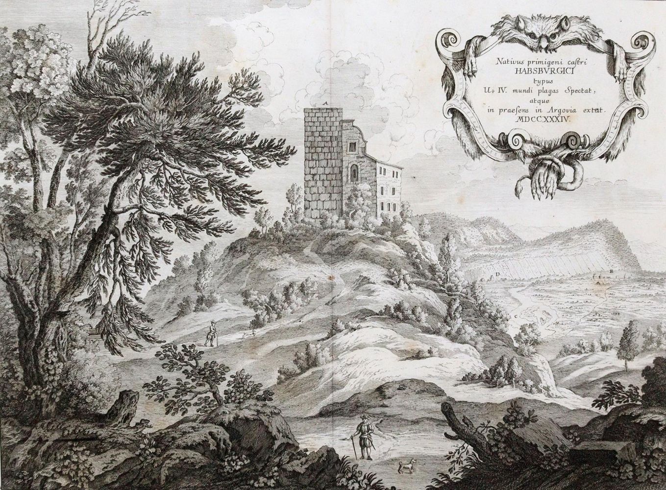 Große Abbildung Nr.1: 139-3053 Habsburg, Aargau.: (Ausland, Schweiz)