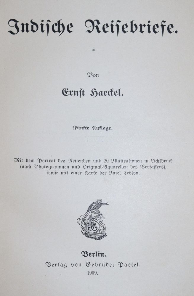 Große Abbildung Nr.62: 139-402 Konvolut: (Varia)