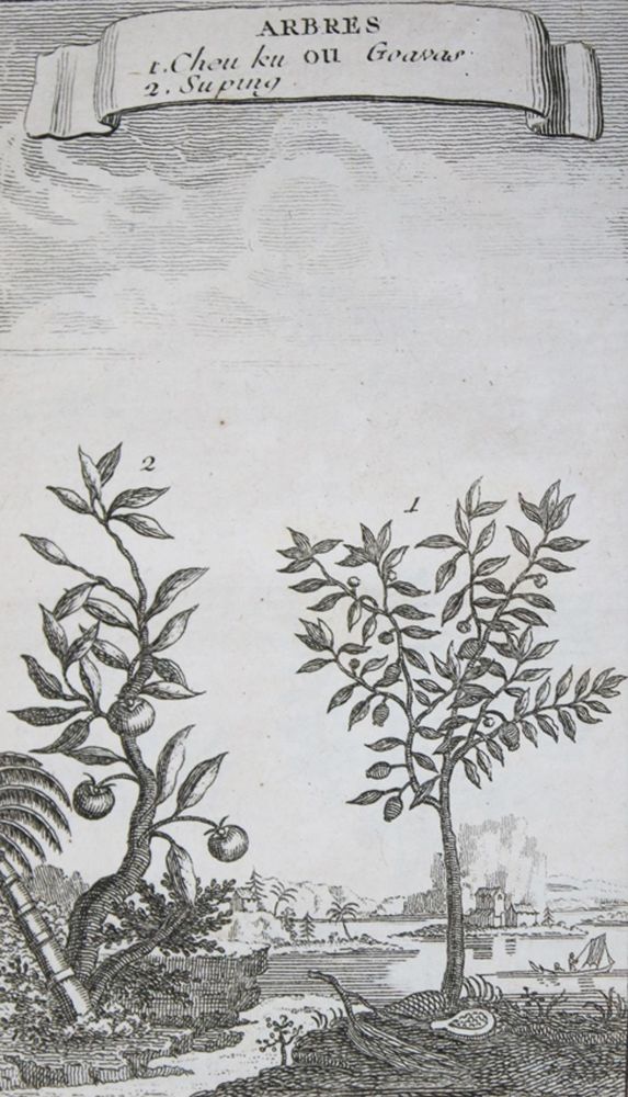 Große Abbildung Nr.1: 139-411 Konvolut: (Varia)