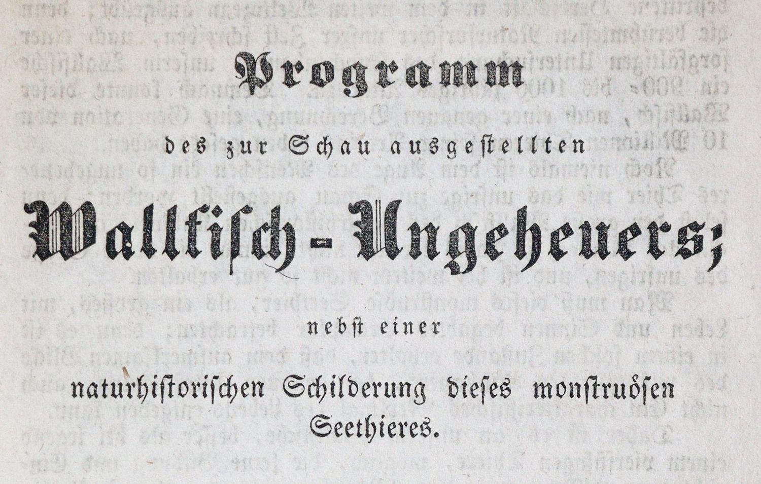 Große Abbildung Nr.1: 139-414 Wallfisch-Ungeheuers,: (Kuriositäten)