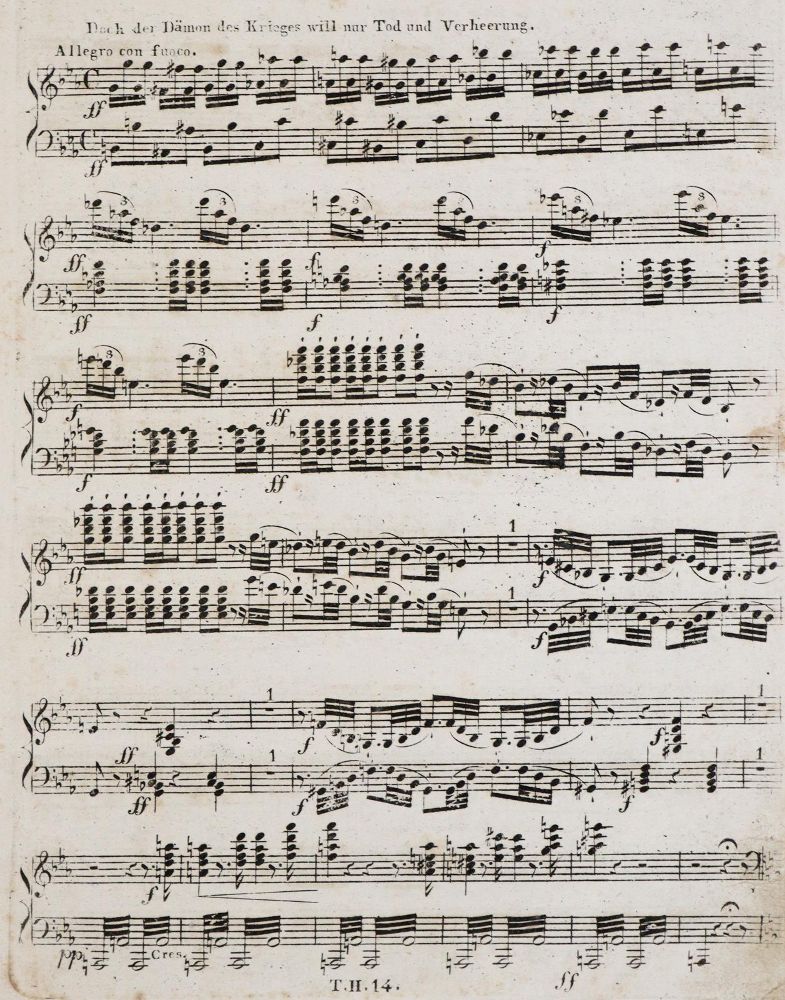 Große Abbildung Nr.2: 139-479 Haslinger,T.: (Musik)
