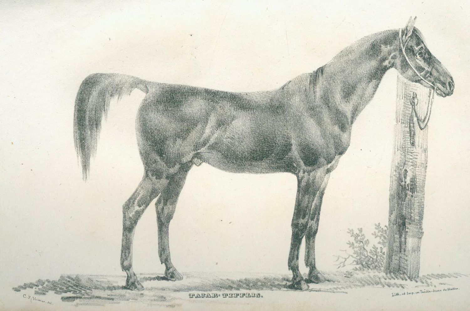 Große Abbildung Nr.3: 139-527 Monatsschrift: (Sport, Reitsport)