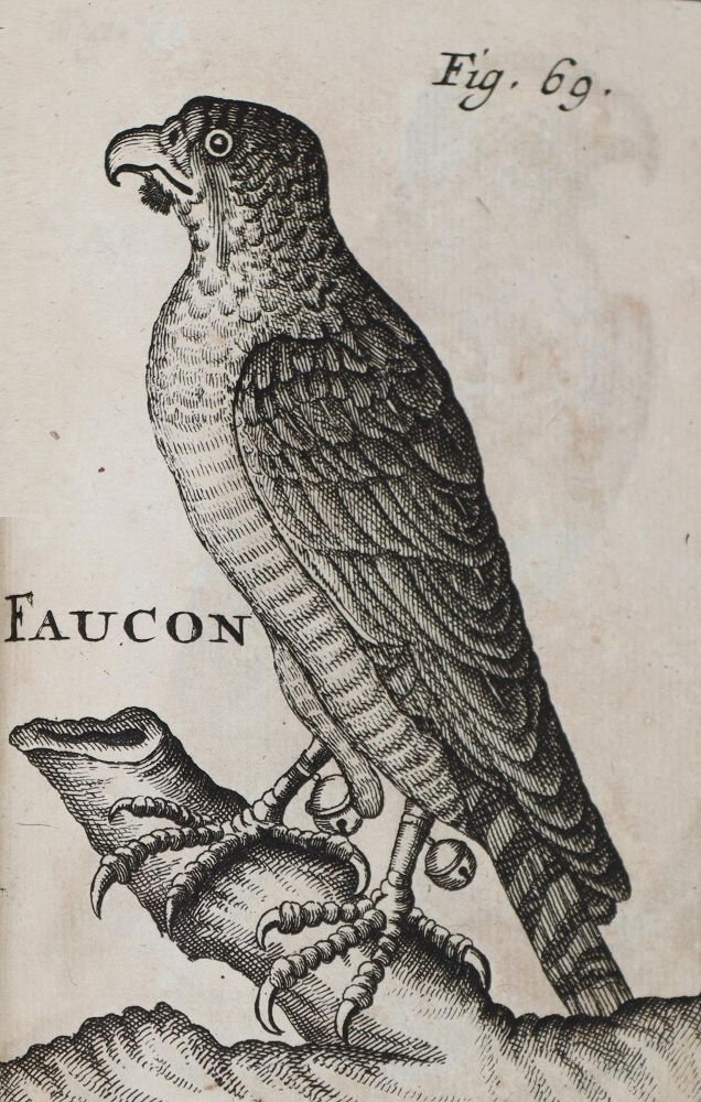 Große Abbildung Nr.3: 139-557 (Fortin de Grandmont F.),: (Jagd)