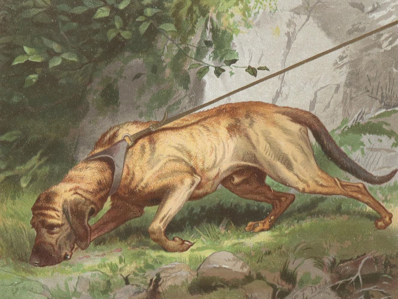 Große Abbildung Nr.1: 139-562 Müller,A.u.K.: (Jagd, Kynologie)