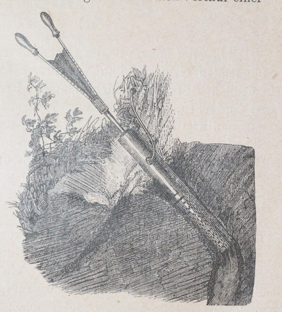 Große Abbildung Nr.3: 139-563 Pieper,A.: (Jagd)
