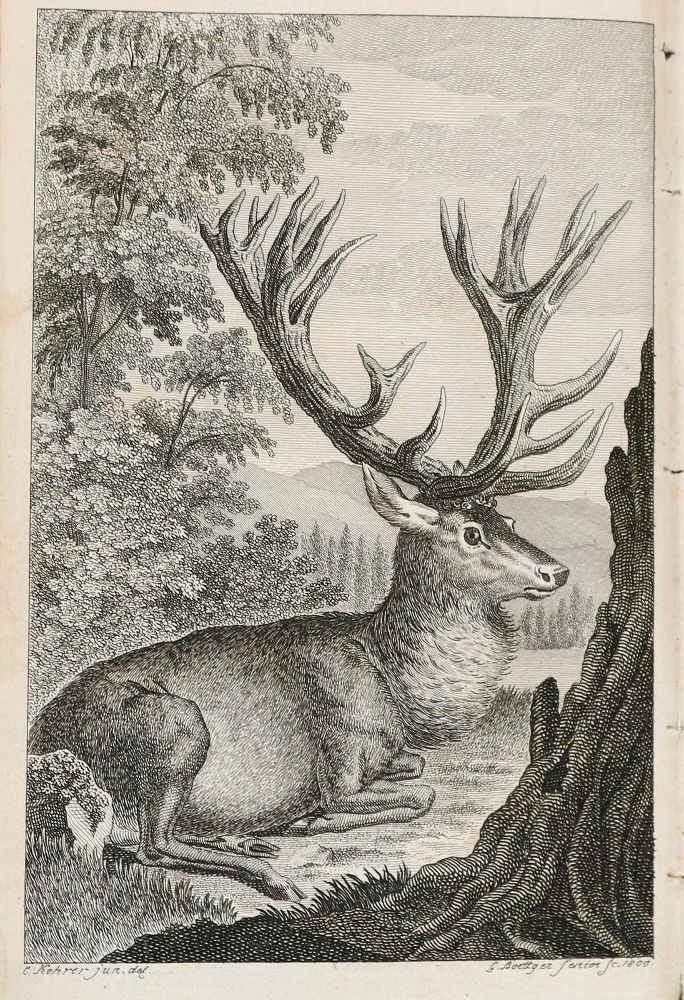 Große Abbildung Nr.2: 139-568 Wildungen,L.C.E.H.F.v.: (Jagd)