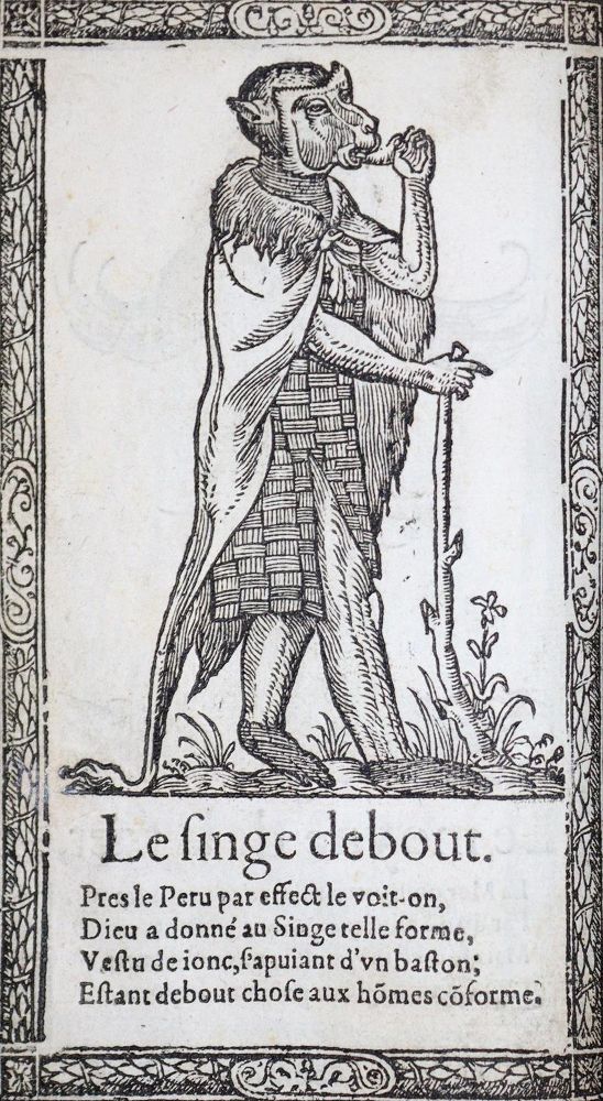 Große Abbildung Nr.12: 139-63 Descerpz,F.: (Alte Drucke, Handschriften und Theologie)