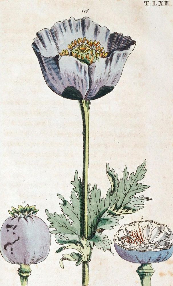 Große Abbildung Nr.3: 139-638 Wilhelm,G.T.: (Küche und Haushalt)