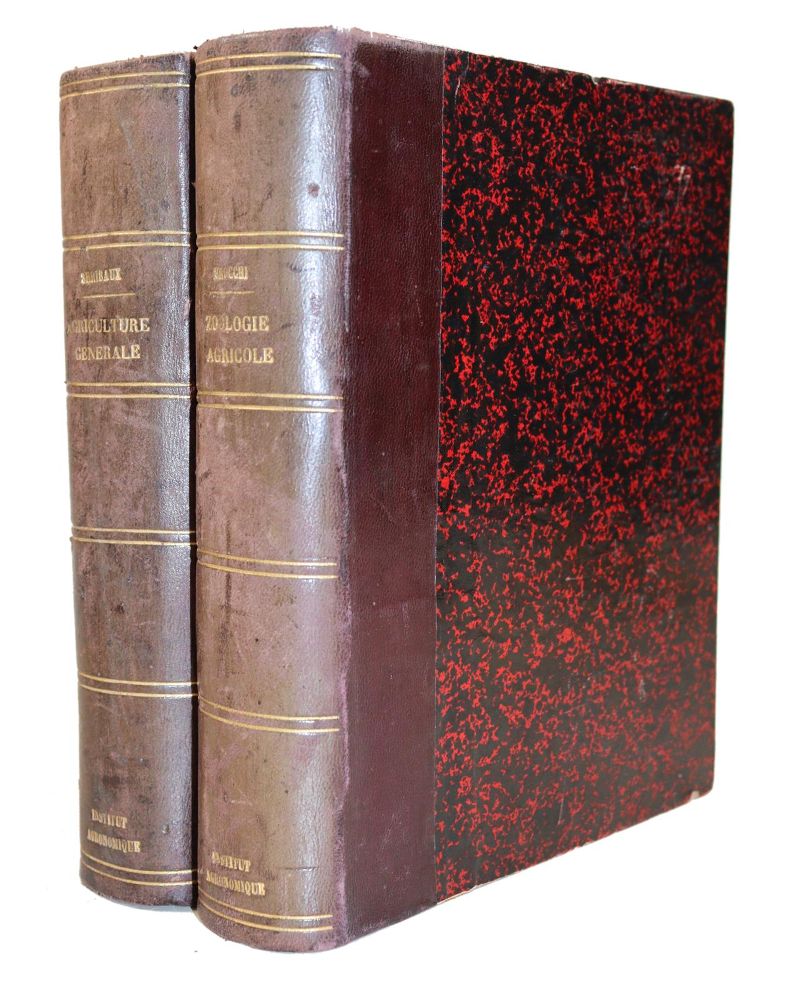 Große Abbildung Nr.2: 139-653 Vorlesungsabschriften.: (Land- und Forstwirtschaft, Landwirtschaft, Handschriften)