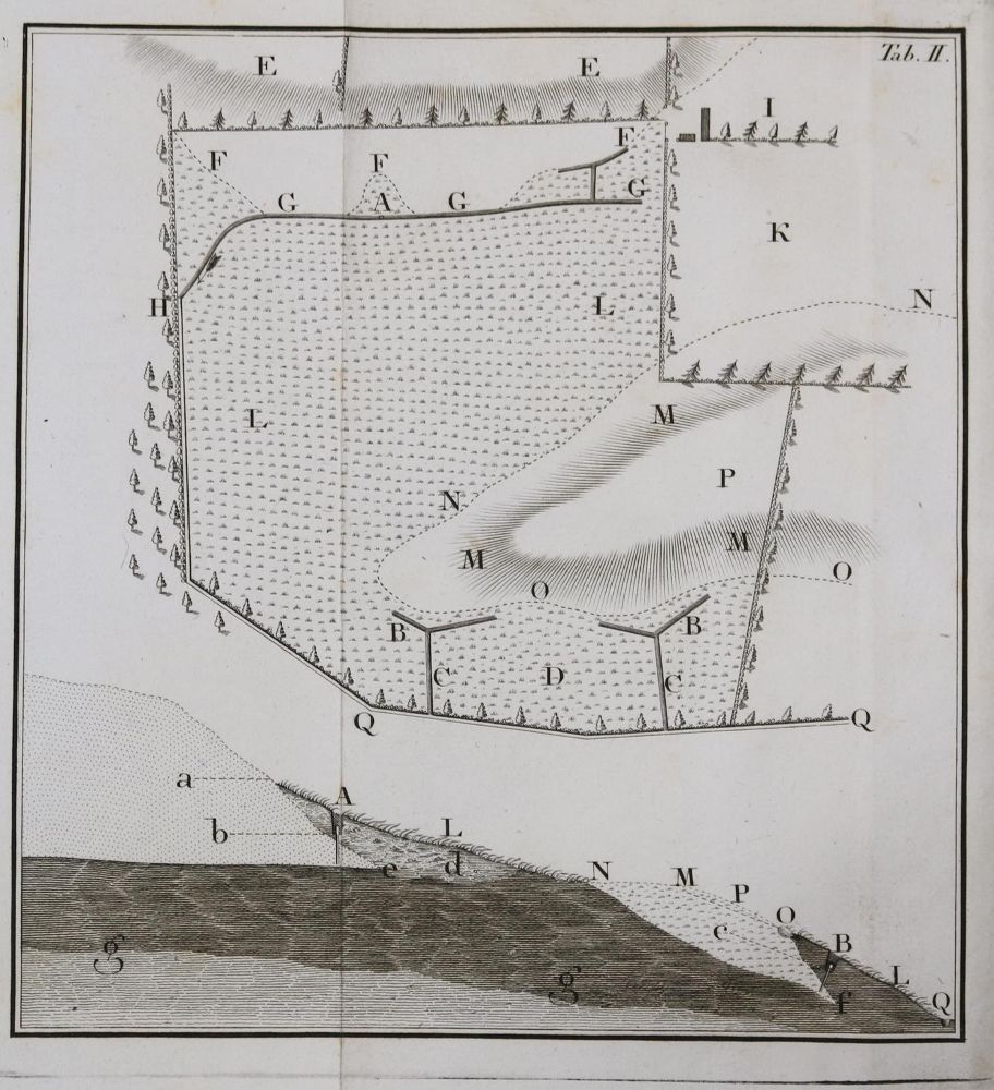 Große Abbildung Nr.2: 139-664 Johnstone,J.: (Land- und Forstwirtschaft, Landwirtschaft, Sumpf)