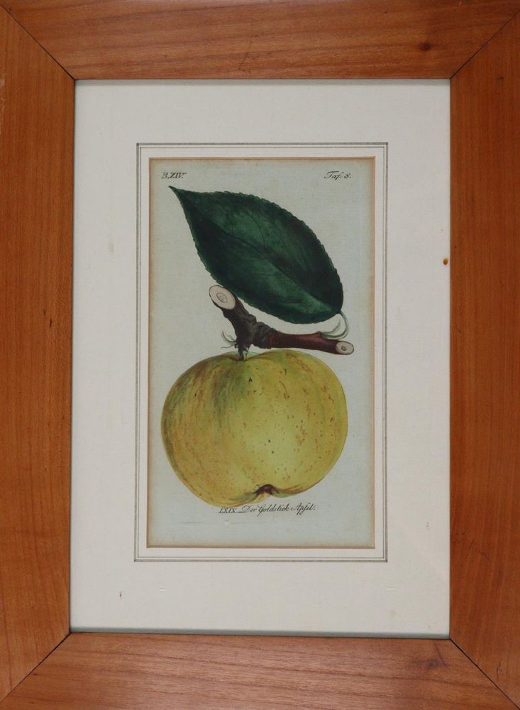 Große Abbildung Nr.5: 139-673 Sickler,J.V.: (Land- und Forstwirtschaft, Obstbau)