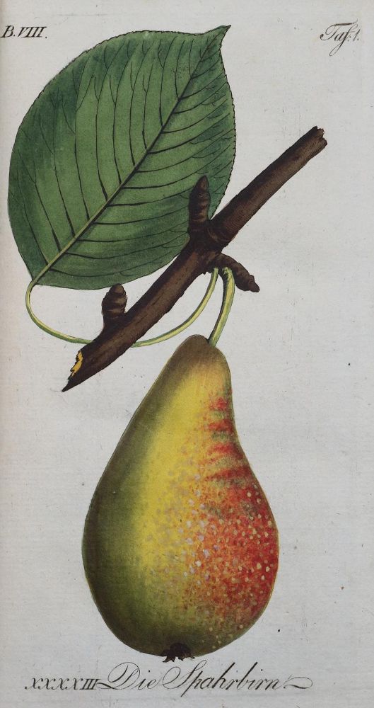 Große Abbildung Nr.1: 139-674 Sickler,J.V. (Hrsg.).: (Land- und Forstwirtschaft, Obstbau)