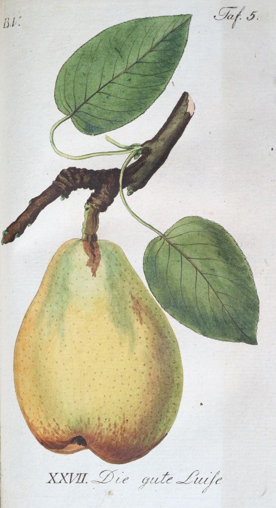 Große Abbildung Nr.1: 139-675 Sickler,J.V. (Hrsg.).: (Land- und Forstwirtschaft, Obstbau)