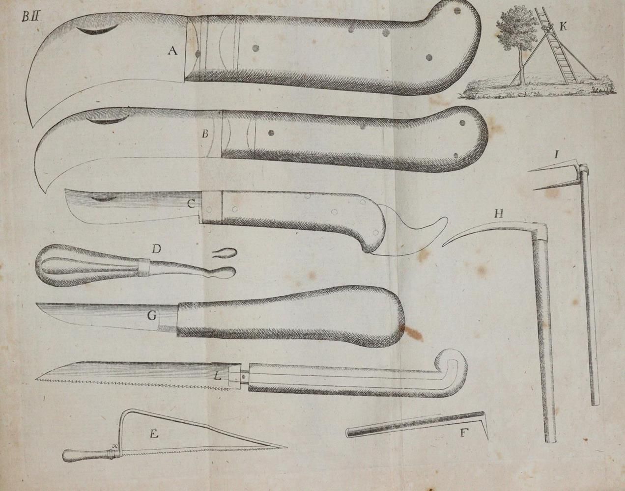 Große Abbildung Nr.2: 139-680 Sickler,J.V.: (Land- und Forstwirtschaft, Pomologie)