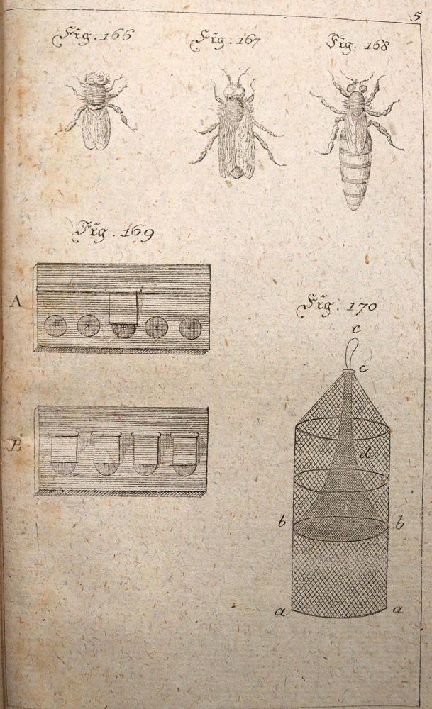 Große Abbildung Nr.1: 139-684 Krünitz,J.G.: (Land- und Forstwirtschaft, Tierhaltung, Imkerei)