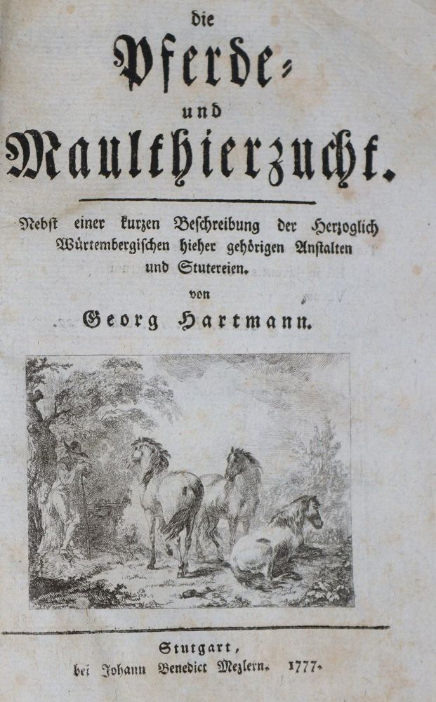 Große Abbildung Nr.1: 139-685 Hartmann,G.: (Land- und Forstwirtschaft, Tierhaltung, Pferde)