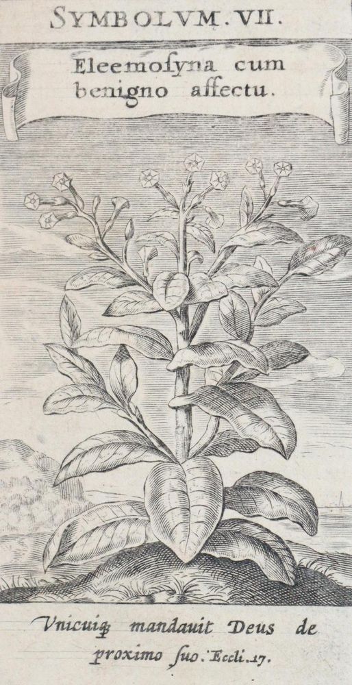 Große Abbildung Nr.2: 139-70 Drexel,J.: (Alte Drucke, Handschriften und Theologie)