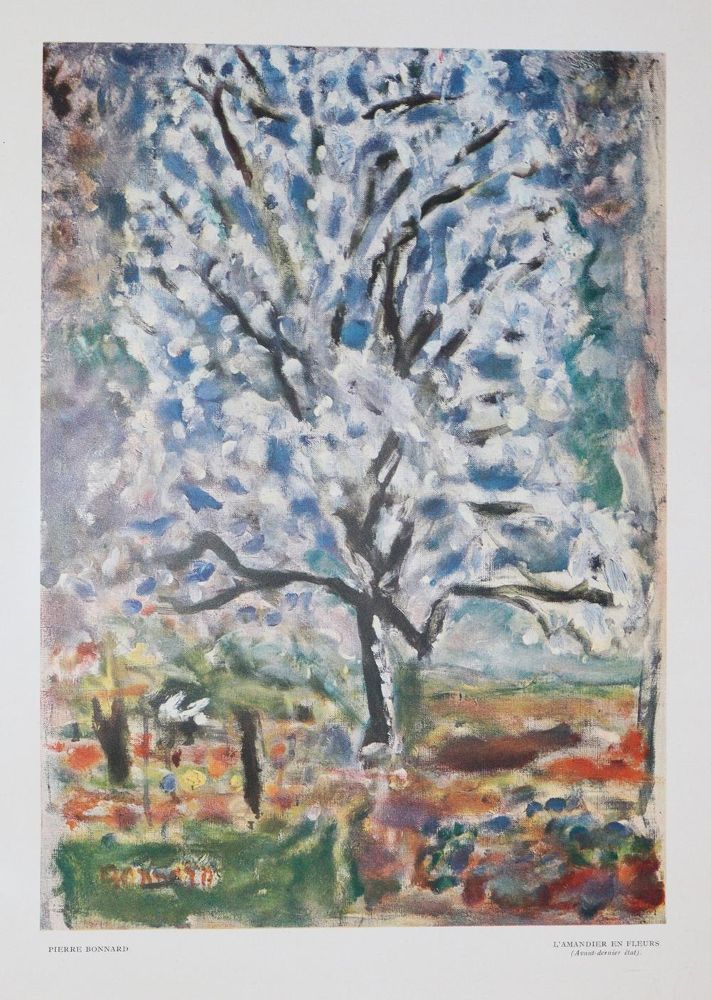 Große Abbildung Nr.1: 139-734 Verve.: (Bonnard)