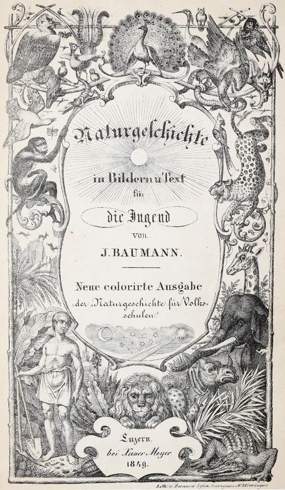 Große Abbildung Nr.2: 139-931 Baumann,J.: (Kinder- und Jugendbücher)