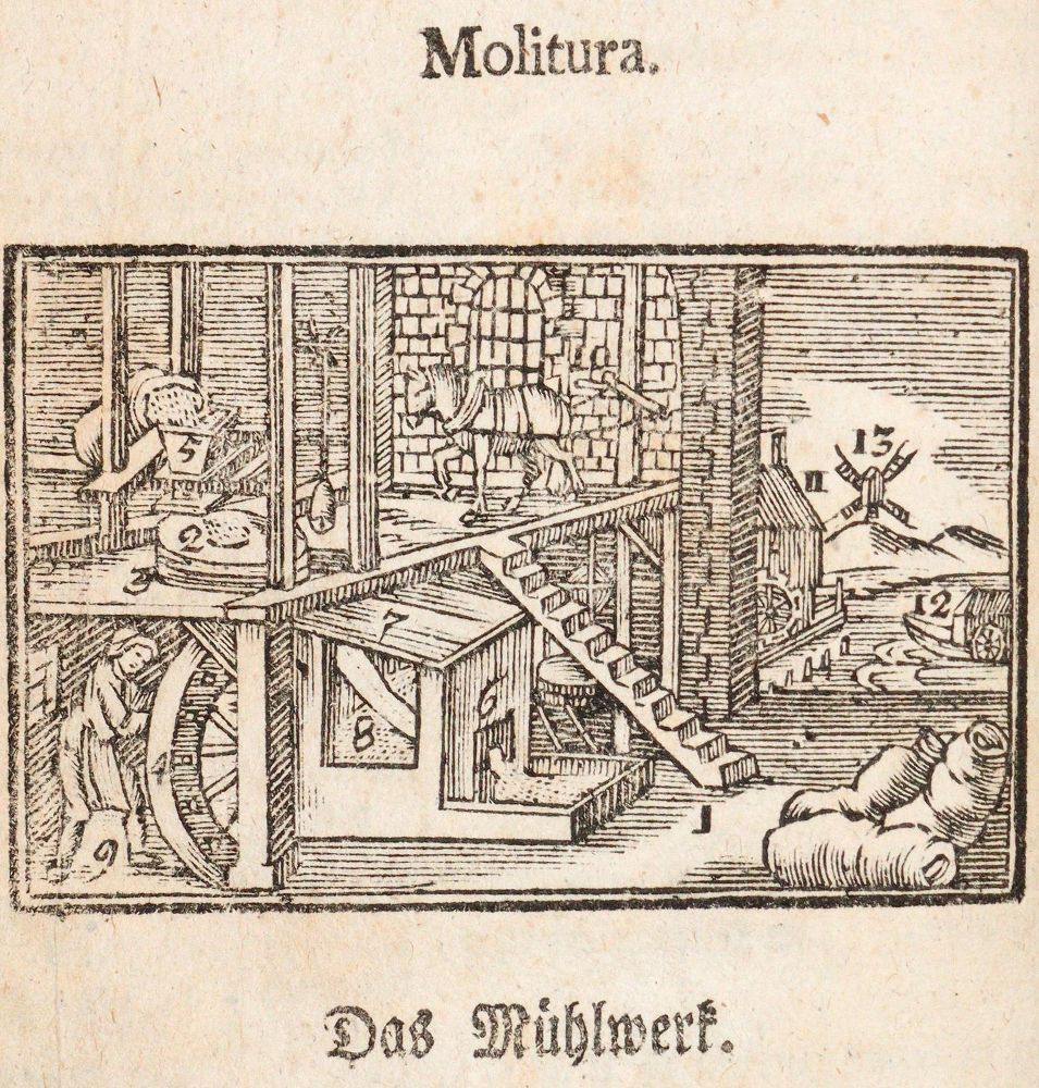 Große Abbildung Nr.2: 139-966 Comenius,J.A.: (Orbis Pictus)
