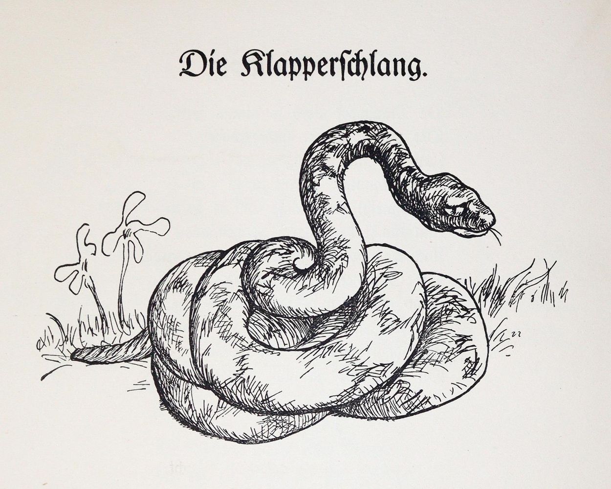 Große Abbildung Nr.2: 139-978 Hartmann,L.: (Pfalz)