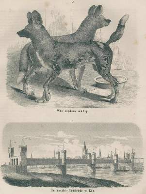 Bild Nr.4: 139-1012 Archiv: (Literatur und illustrierte Bücher bis 19.Jahrhundert)