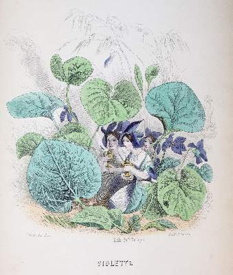 Bild Nr.3: 139-1067 Grandville,J.J. (d.i. J.I.I.Gerard).: (Literatur und illustrierte Bücher bis 19.Jahrhundert)