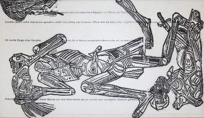 Bild Nr.7: 139-1201 Braun,V.: (Literatur und illustrierte Bücher 20.Jahrhundert - Alte Literatur in modernen Ausgaben)
