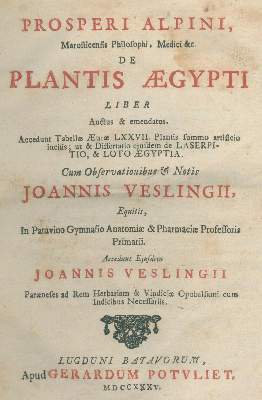 Bild Nr.1: 139-1458 Alpino,P.: (Botanik, Ägypten)