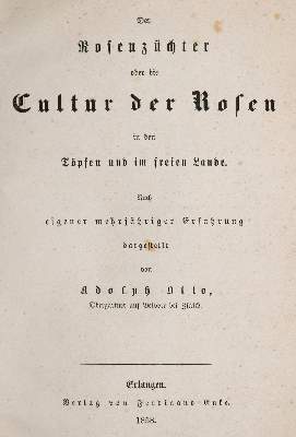 Bild Nr.1: 139-1482 Otto,A.: (Botanik, Rosen)